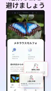 Picture Insect：撮ったら、判る-1秒昆虫図鑑 screenshot