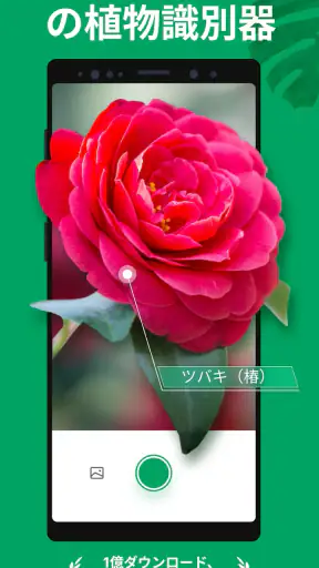 PictureThis：撮ったら、判る-1秒植物図鑑 screenshot 1