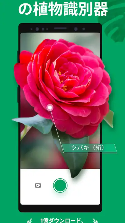 PictureThis：撮ったら、判る-1秒植物図鑑 screenshot 1