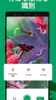 PictureThis：撮ったら、判る-1秒植物図鑑 screenshot 6