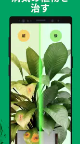 PictureThis：撮ったら、判る-1秒植物図鑑 screenshot