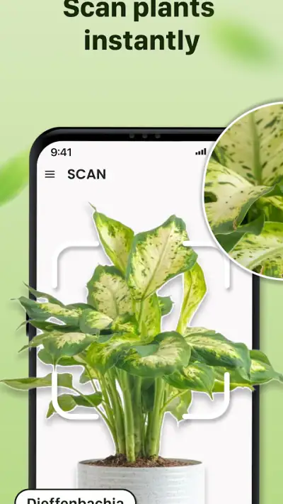 Plantid: 植物識別AI screenshot 1