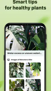Plantid: 植物識別AI screenshot 5