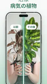 Plantify : 植物 識別 ケア, 花図鑑 screenshot