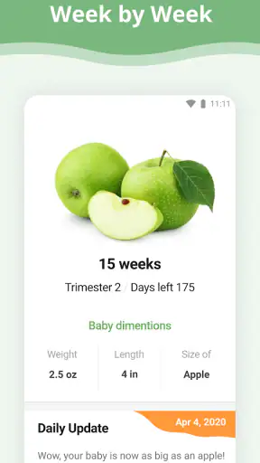 Pregnancy App screenshot 1