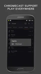 Pulsar 音楽プレーヤー screenshot