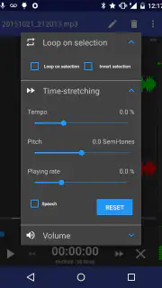 RecForge II Pro: Voice Rec screenshot 3