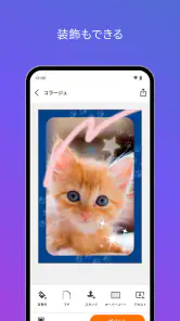 SELPHY Photo Layout screenshot