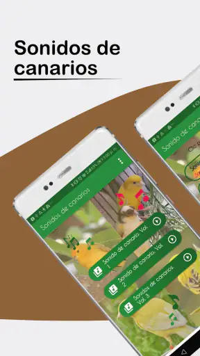 Sonidos de Canarios. Cantos. screenshot 1
