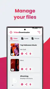 SSSTIK Video Downloader Lite screenshot