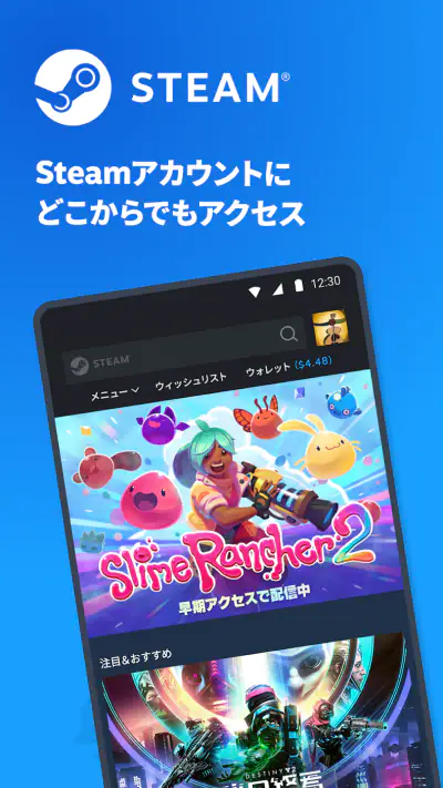 Steam screenshot 1