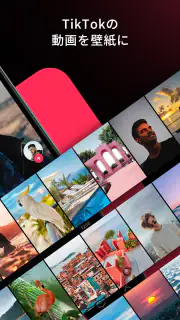 TikTok ダイナミック壁紙 screenshot 2