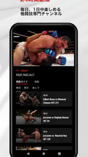 UFC screenshot 3