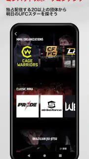 UFC screenshot 5