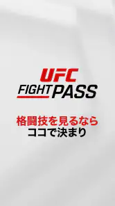 UFC screenshot