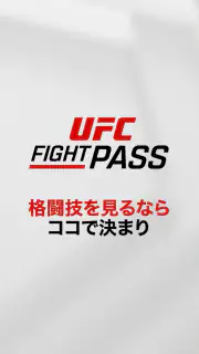 UFC screenshot 7