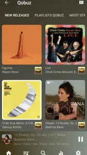 USB Audio Player PRO screenshot 6