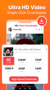 Video Downloader - Story Saver screenshot