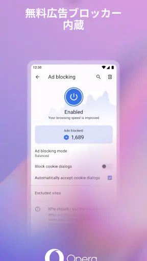 VPN を備えた Opera ブラウザ screenshot 1