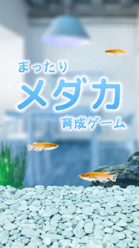 まったりメダカ育成ゲーム screenshot 1