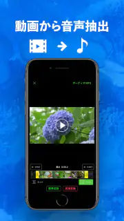 トルミル - 動画ダウンロードとバックグラウンド再生 screenshot 2
