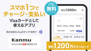 バンドルカード:誰でも発行できるVisaプリカ screenshot 1