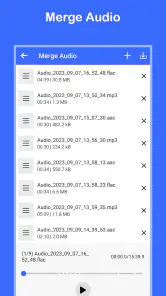 ビデオをMP3に変換する screenshot