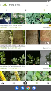プラントネット (PlantNet) 植物図鑑アプリ screenshot