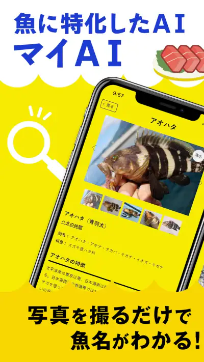 マイAI-AIが魚を判定する魚図鑑 screenshot 1