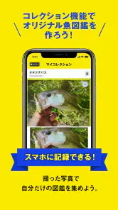 マイAI-AIが魚を判定する魚図鑑 screenshot