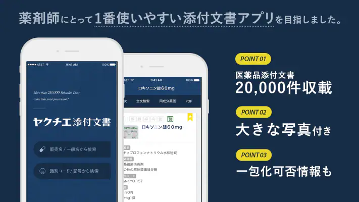 ヤクチエ添付文書 screenshot 1