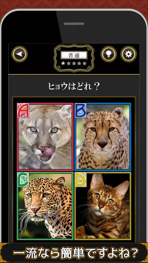 全国共通格付けチェック screenshot 1