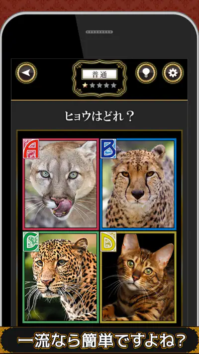 全国共通格付けチェック screenshot 1