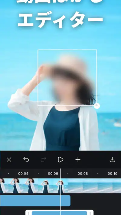動画ぼかし - モザイク screenshot 1