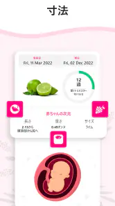 妊娠出産 - ベビーカレンダー - 妊娠計算機 とカレンダー screenshot