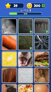 想像してみてください! クローズアップ画像ゲーム screenshot 3