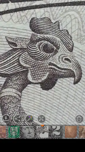 拡大鏡 & 顕微鏡 (ルーペ) screenshot 1