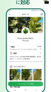 植物識別子 screenshot