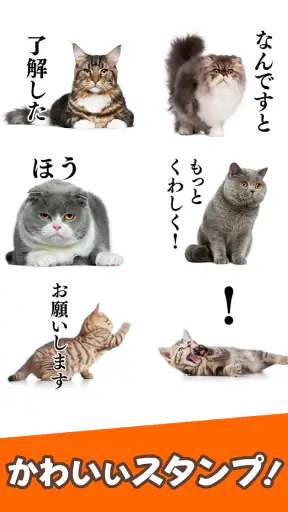 猫スタンプ（実写スタンプ） screenshot 1