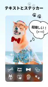 画像加工&画像編集&写真加工アプリ- Lumii ルミー screenshot