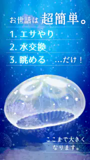 癒しのクラゲ育成ゲーム - 無料放置育成ゲーム screenshot 2