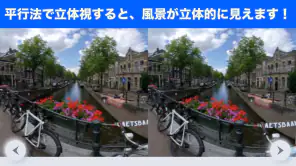立体視で視力回復トレーニング screenshot 1