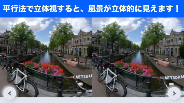 立体視で視力回復トレーニング screenshot 1