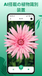 花の名前を調べる: しょくぶつ図鑑 - 樹木判別 screenshot 2