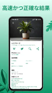 花の名前を調べる: しょくぶつ図鑑 - 樹木判別 screenshot 5