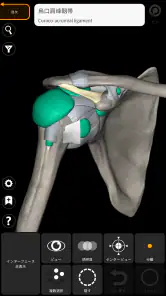解剖学 - 3Dアトラス screenshot