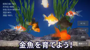 金魚育成アプリ・ポケット金魚 screenshot 1