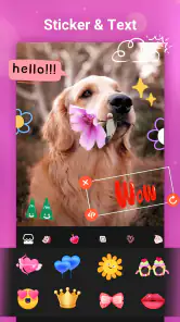 音楽付きのフォトビデオメーカー screenshot