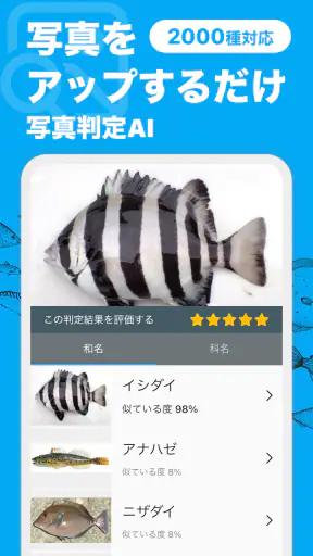 魚みっけ screenshot 1