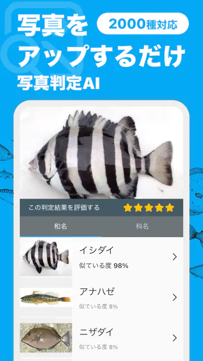 魚みっけ screenshot 1